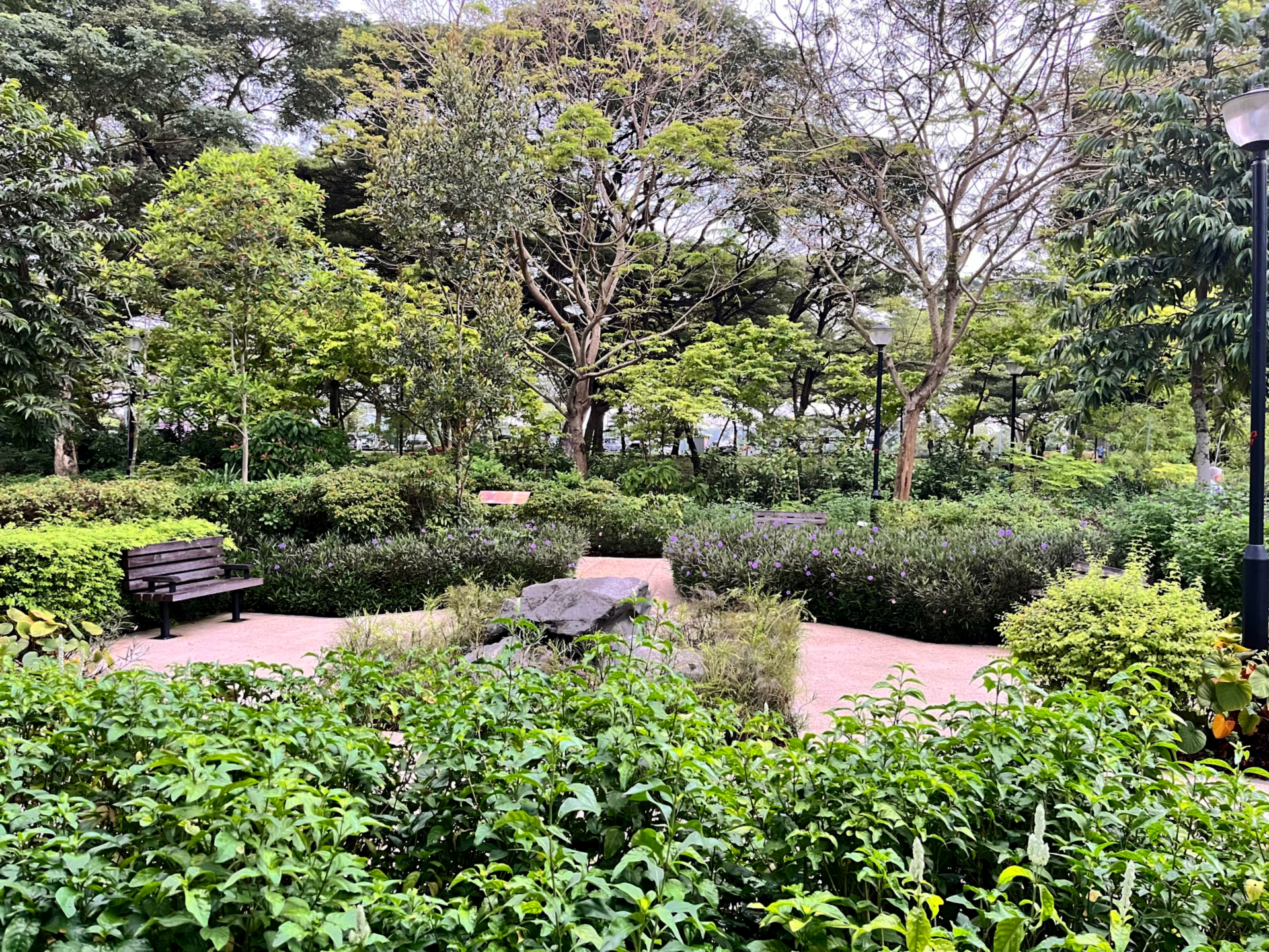 Park scene with greenery, stone path, bench, and trees.