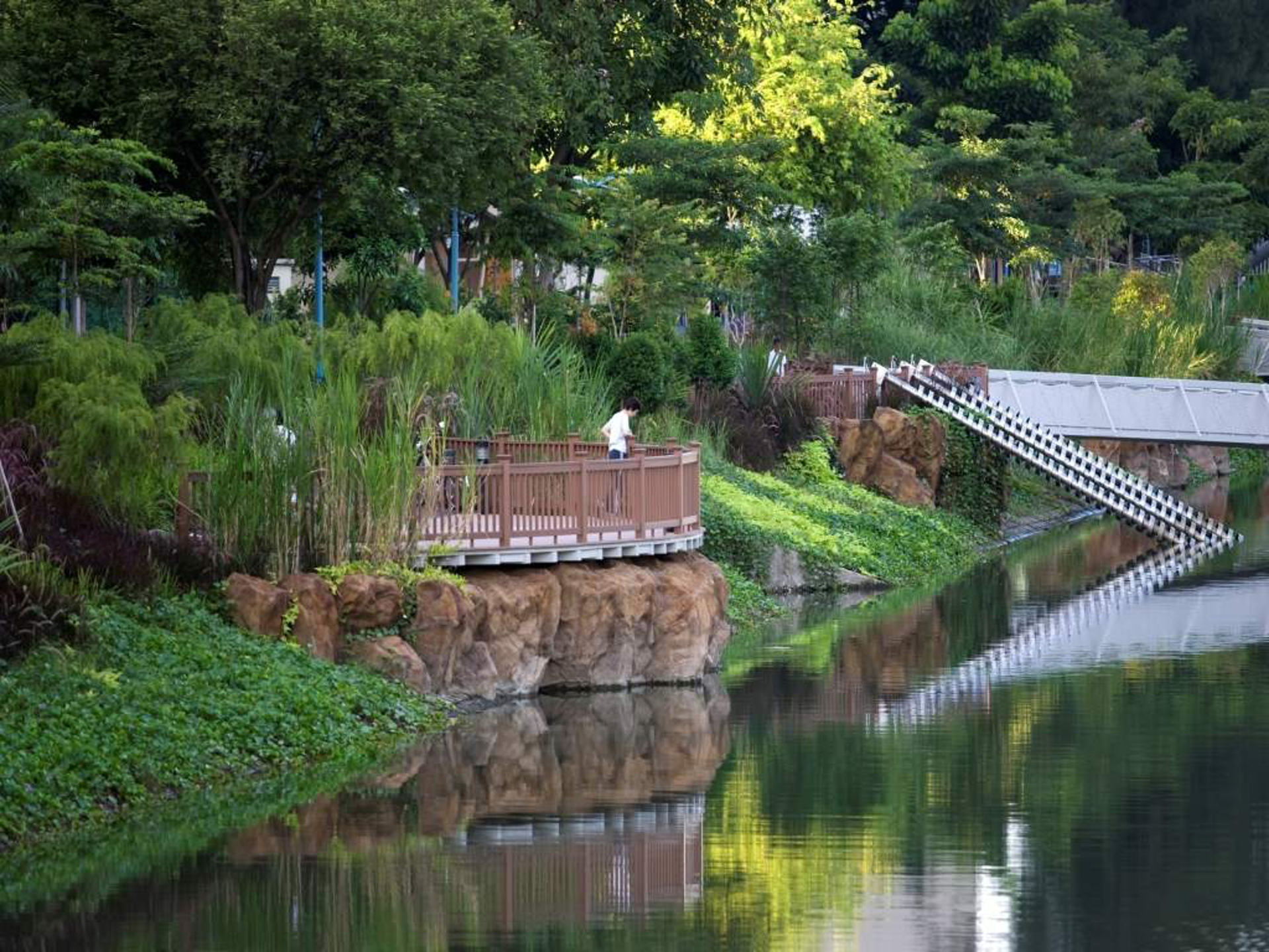 Wooden platform over water in a park setting. Bridge, greenery, and trees are visible in the background.