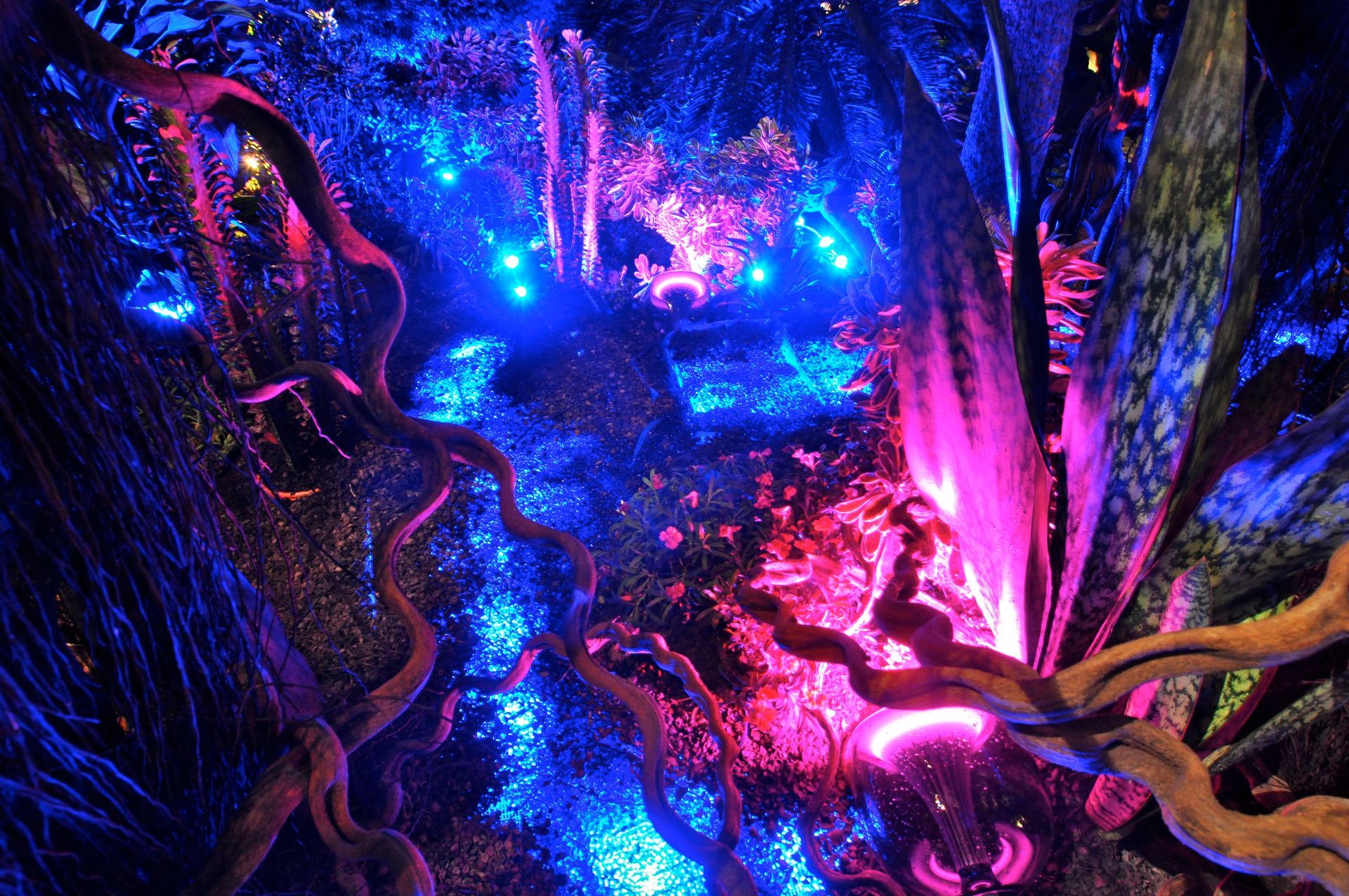 Glowing blue and pink lights illuminate a fantastical forest of twisting vines and sculpted trees.