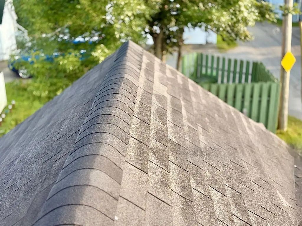 Close-up of a weathered asphalt shingle roof, with a street and trees in the background.