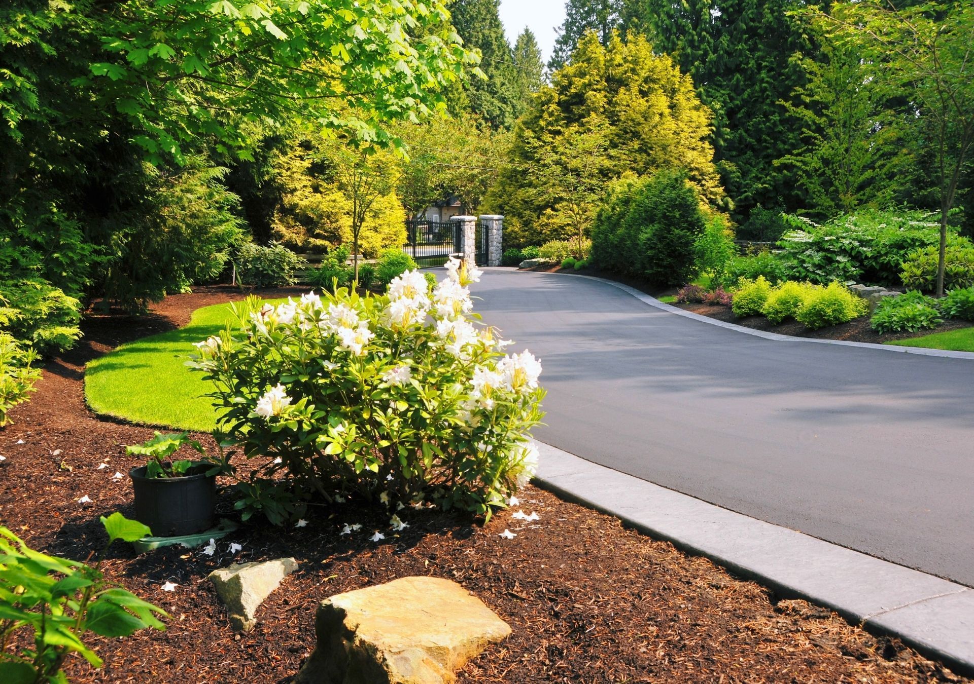 Asphalt driveway curves through a lush green garden with blooming white flowers and trimmed bushes.
