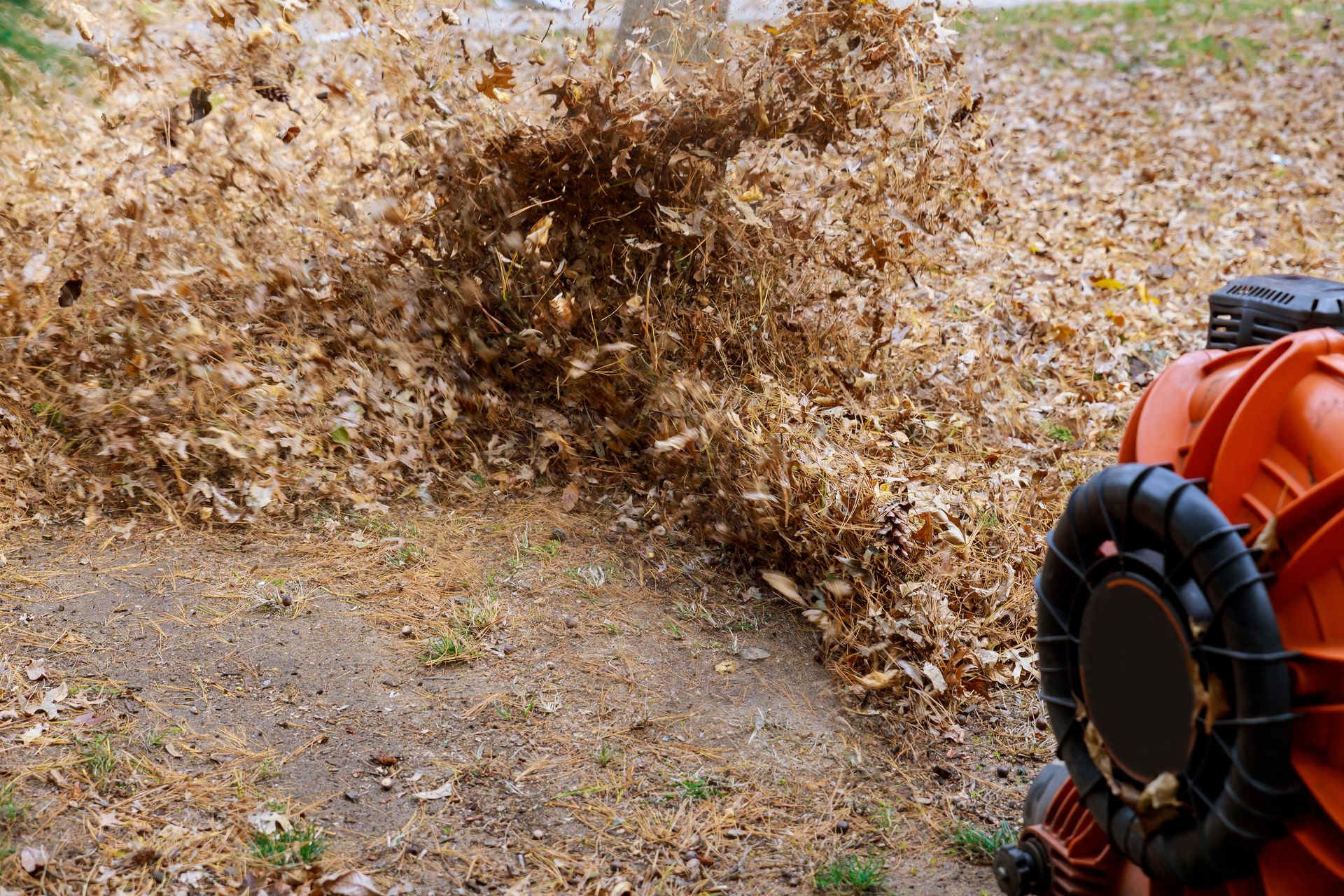 Leaf blower blasting a large pile of dry leaves across a yard, with an orange blower visible on the right.