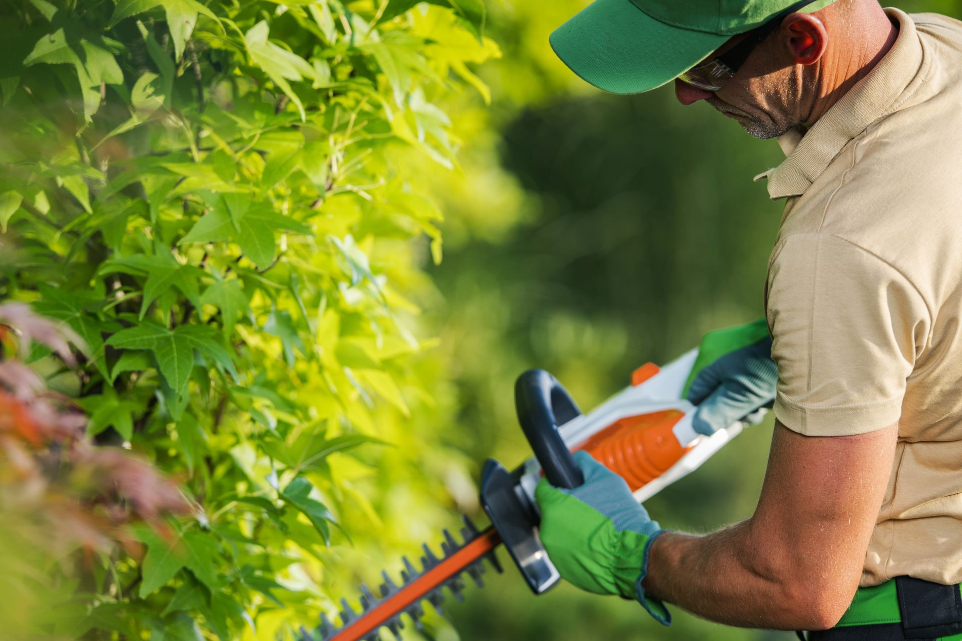 Gardener trimming hedges with orange electric trimmer in a lush green garden