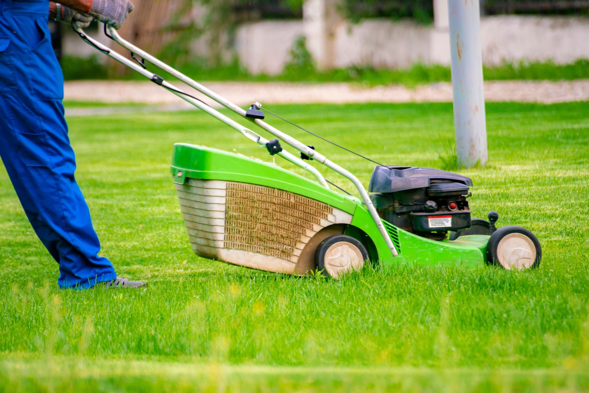Person pushing a green lawn mower across a grassy yard