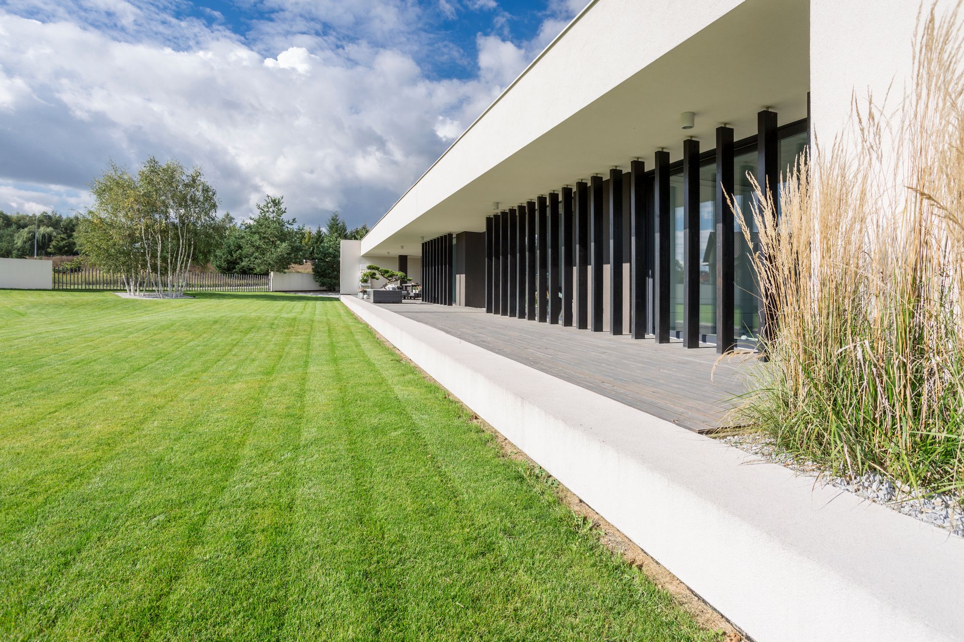Modern building with long black windows beside a green lawn and ornamental grasses under a blue sky