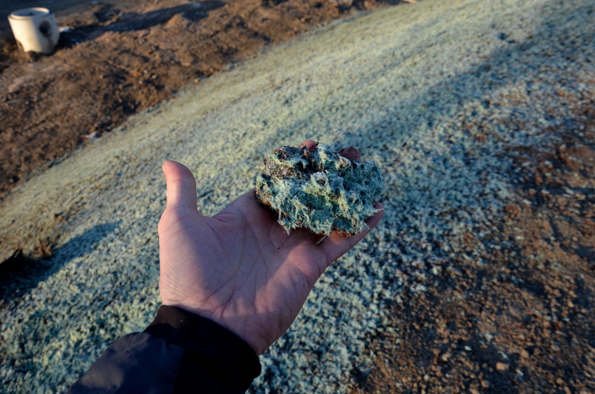 Hand holding hydroseeding over a gravelly outdoor surface at sunset
