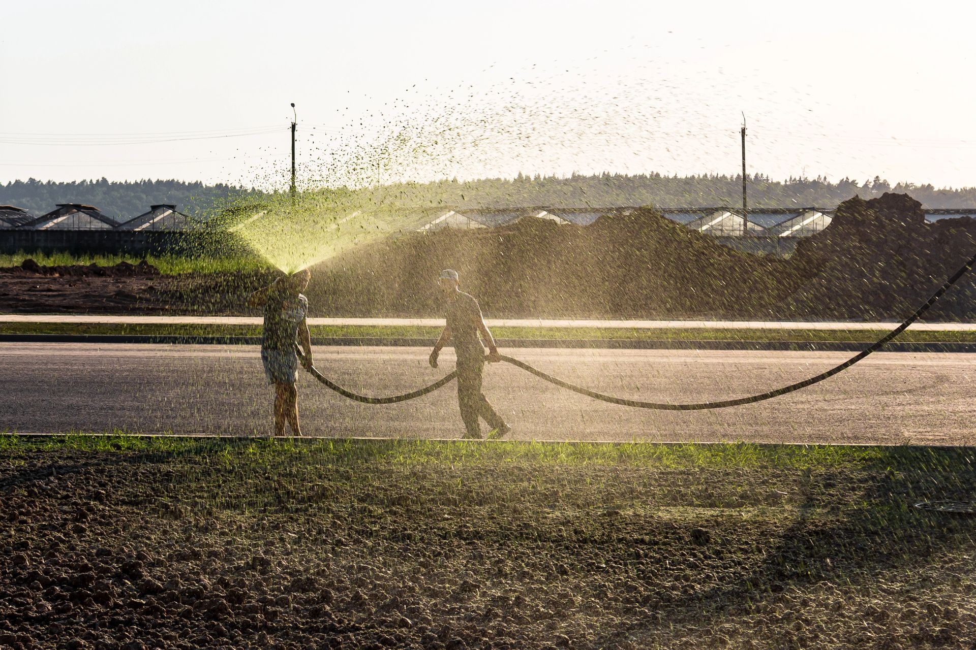Two workers spraying hydroseeding across a sunlit road near a grassy field