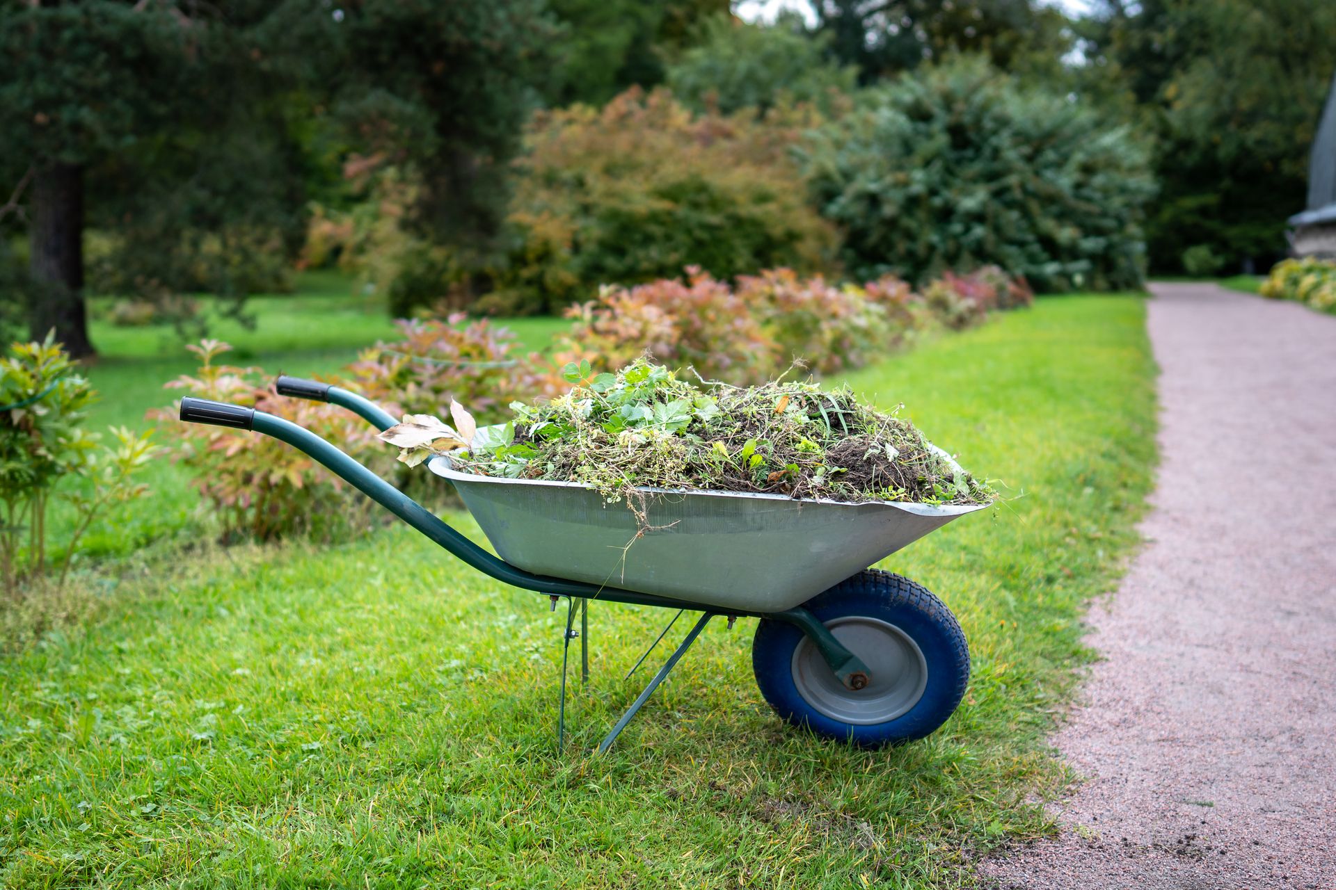 Green wheelbarrow filled with plants on a grassy garden path