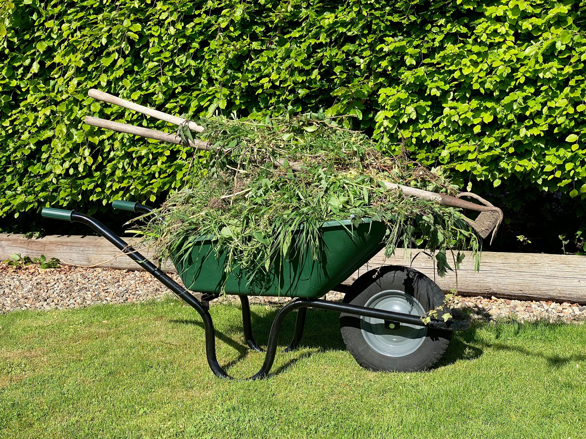 Green wheelbarrow piled with branches and yard debris on grass by a hedge