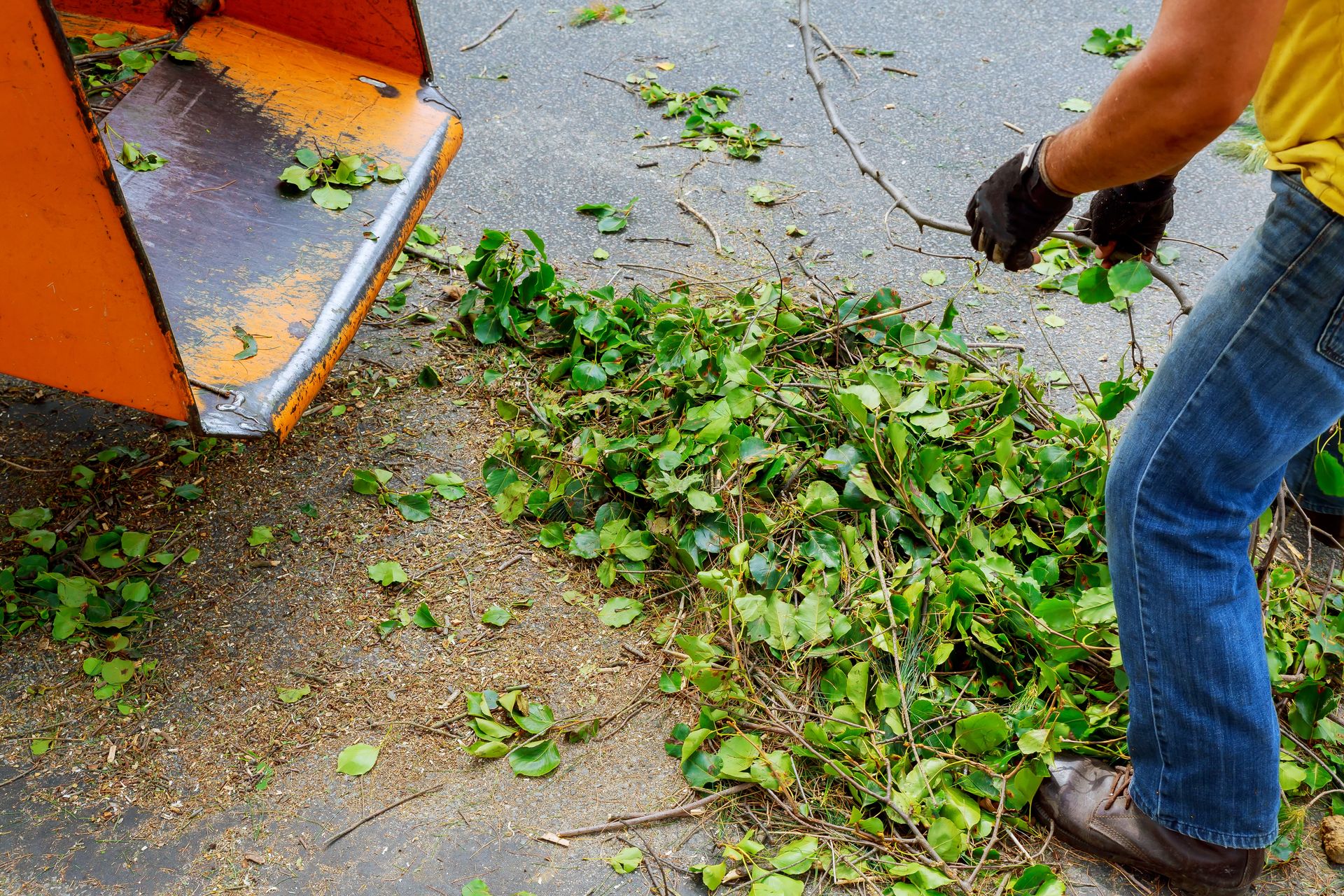 Worker clearing green leaves from a wet pavement beside an orange leaf blower.