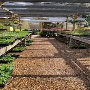 Shade-covered nursery aisle with rows of potted green plants on benches and a gravel path