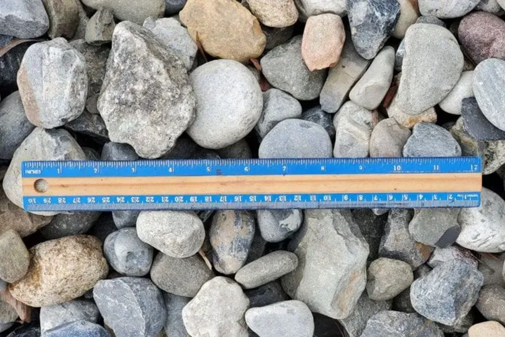 Blue ruler on gray and tan pebbles, measuring their size on a rocky surface.