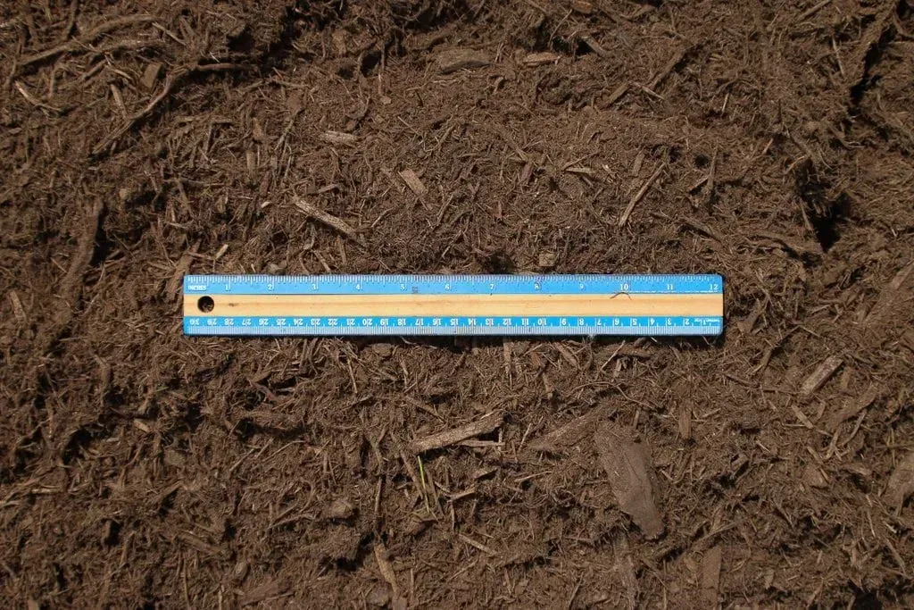 Blue-and-white ruler lying on brown soil or mulch