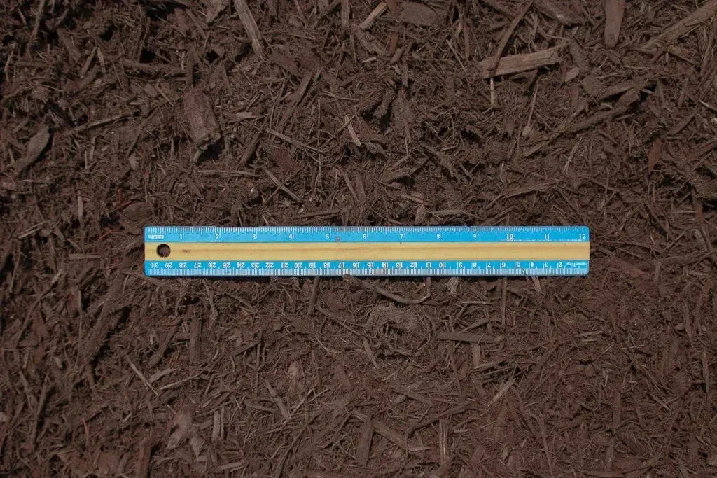 Blue ruler laid horizontally on brown mulch ground