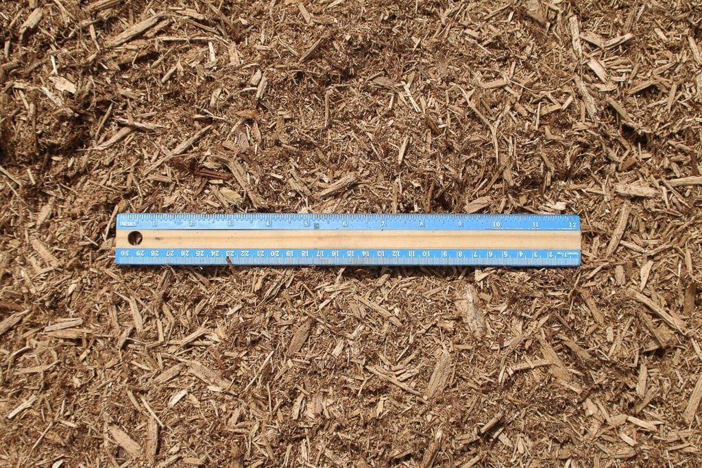 Blue ruler lying on brown wood chips outdoors