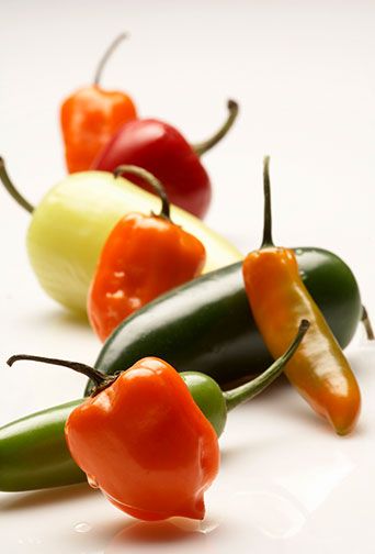 México cuna de la mejor variedad de chiles del mundo