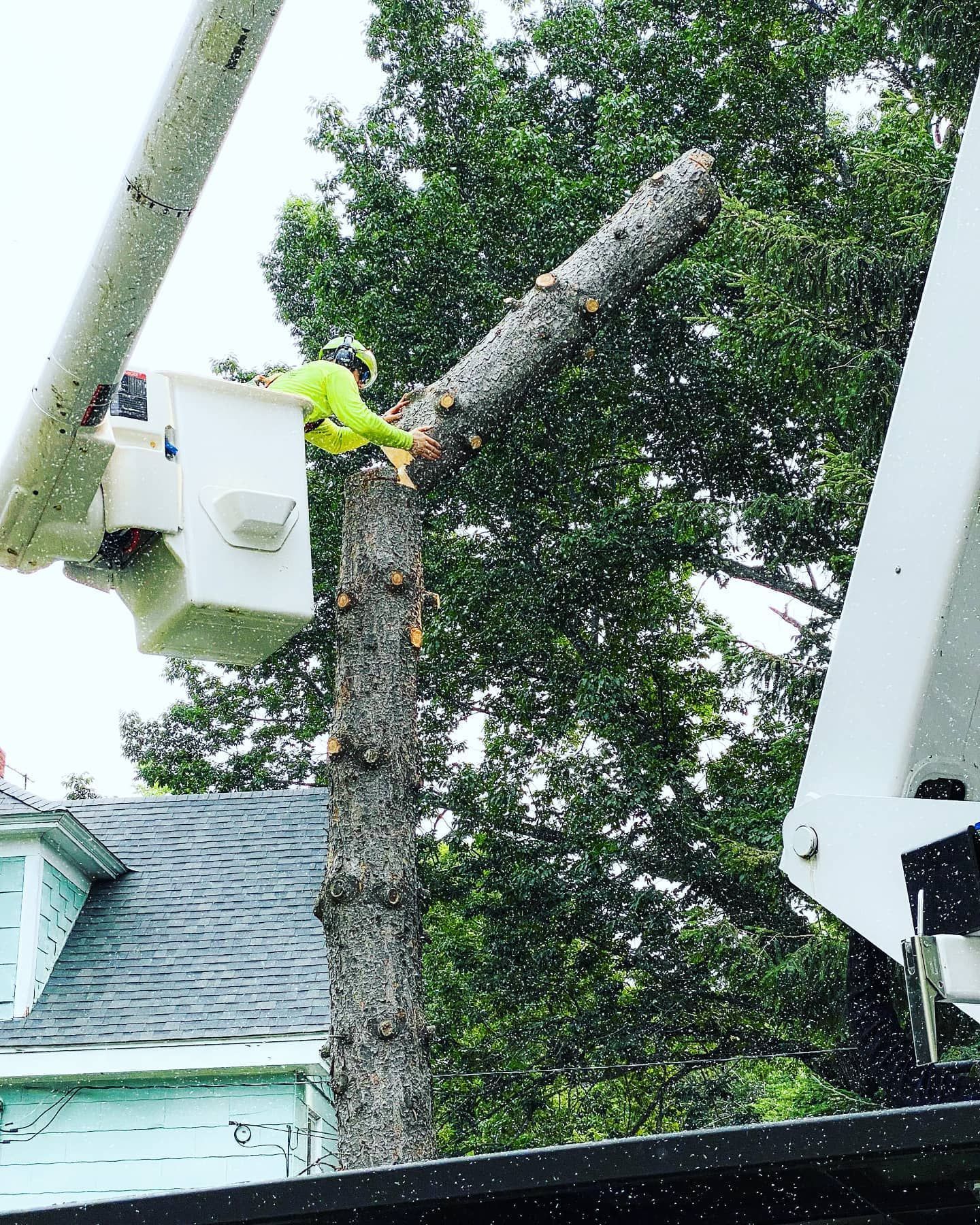 A group of pinnacle tree workers pose in front of a truck
