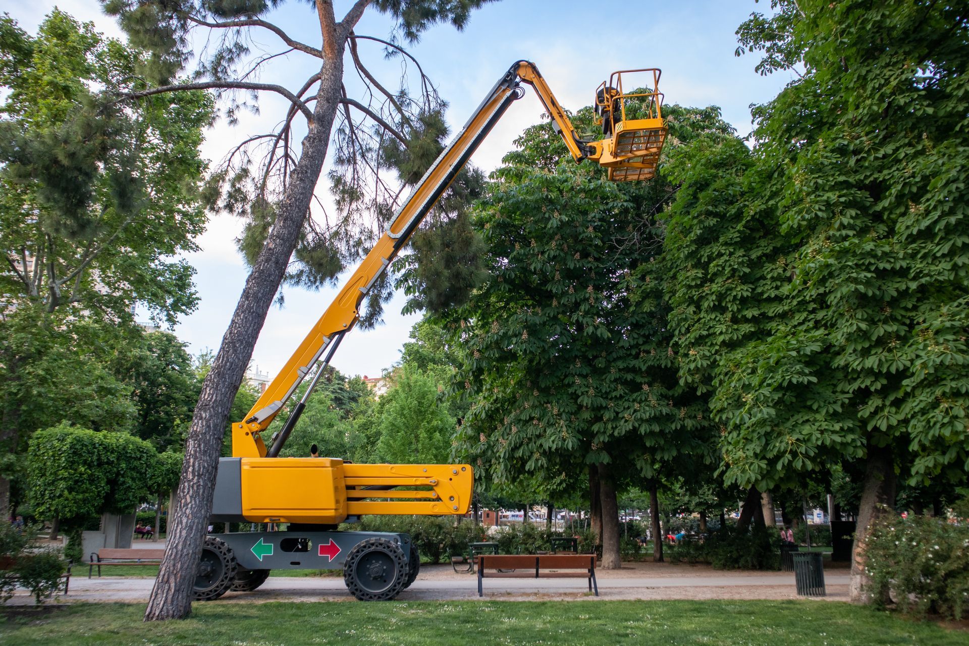Yellow cherry picker lifting a worker basket beside a leaning tree in a park