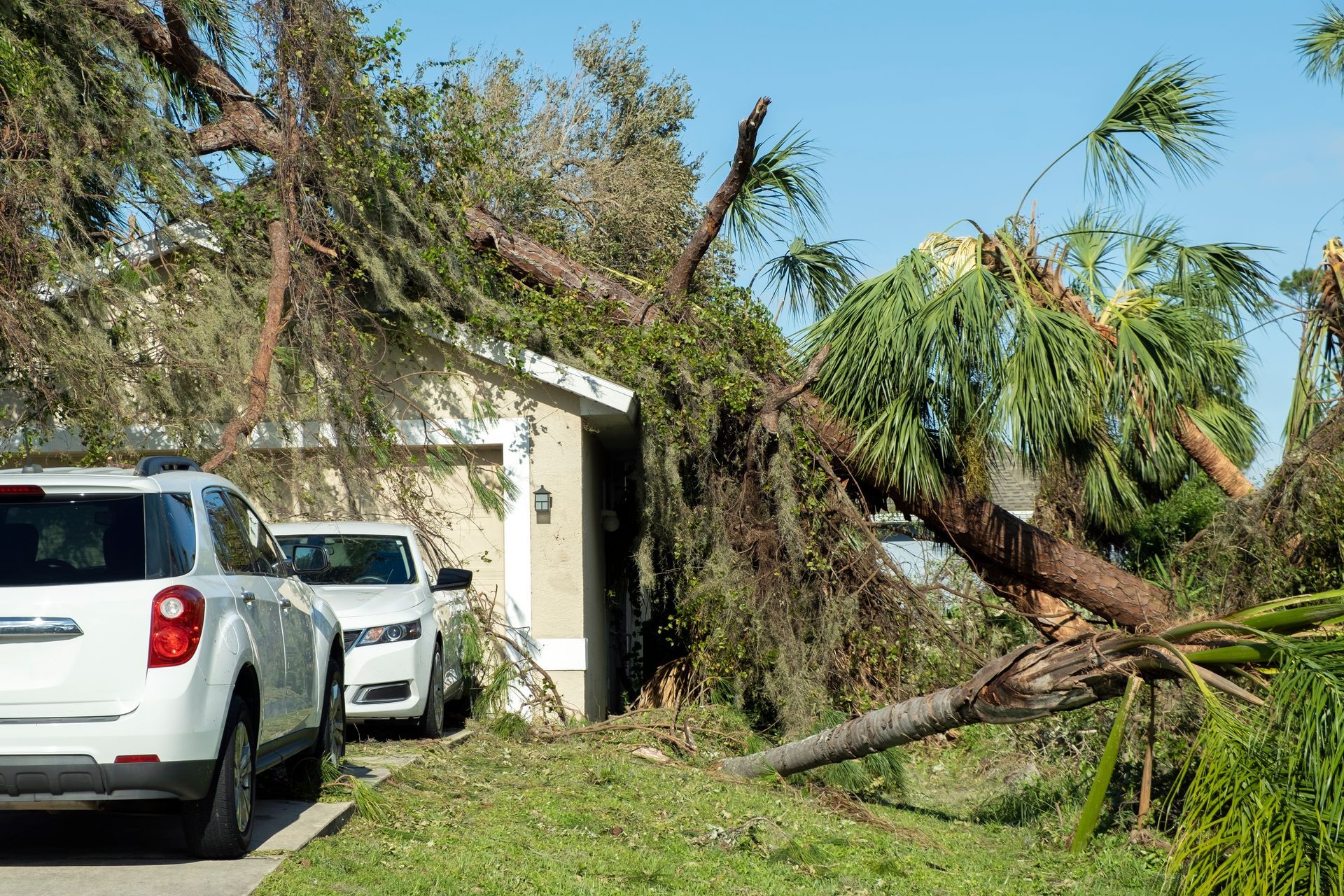 Tree fallen across driveway, blocking two parked white SUVs beside a house on a sunny day