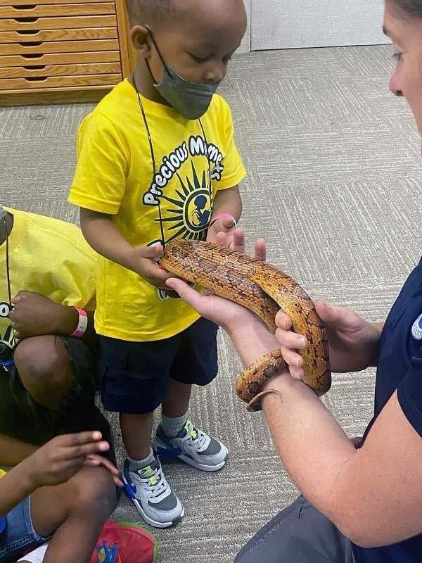 Child in yellow shirt gently holding a small lizard while another person assists indoors