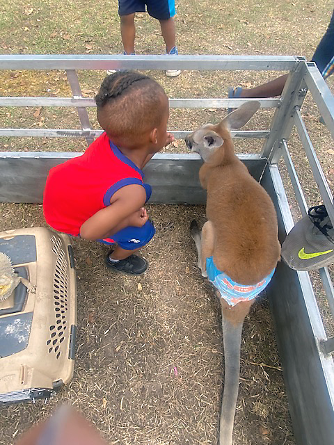 Child in red shirt crouches beside a small deer inside a fenced enclosure.