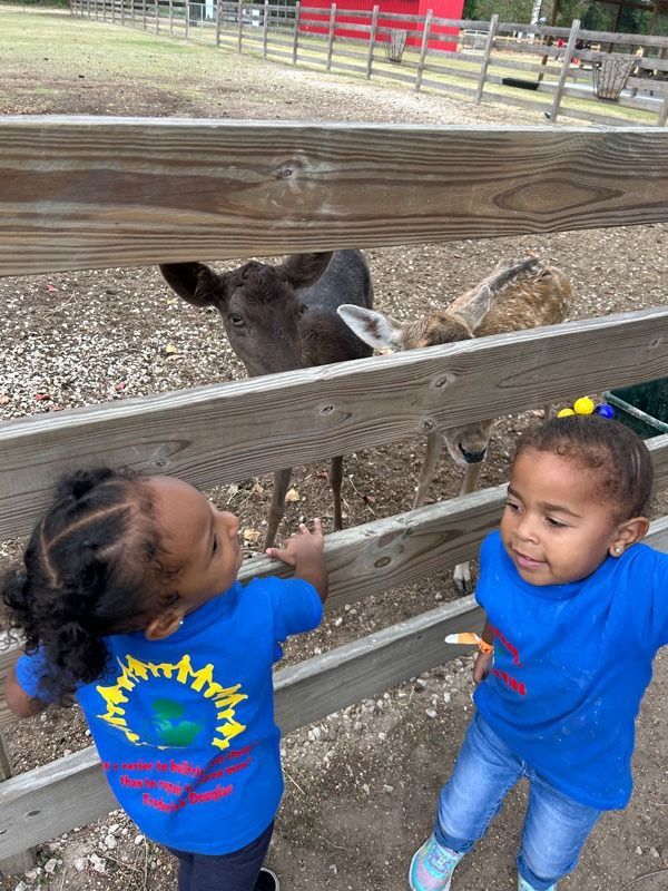 Two toddlers in blue shirts reach toward a deer through a wooden fence at a petting zoo.