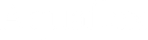 Aquaflex Logo