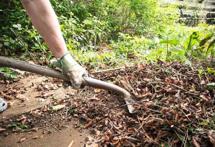 yard waste removal, yard cleaning, lawn care, 