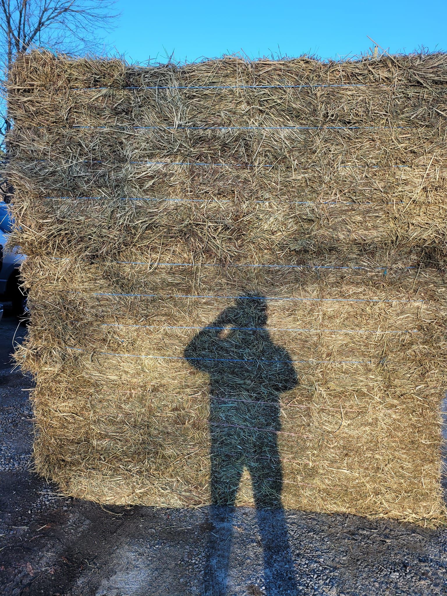 A man is standing in front of a large pile of hay.