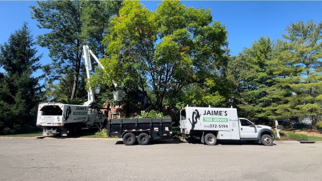A James Tree Service bucket truck and utility vehicle with a trailer are parked on a gravel lot near trees on a sunny day.