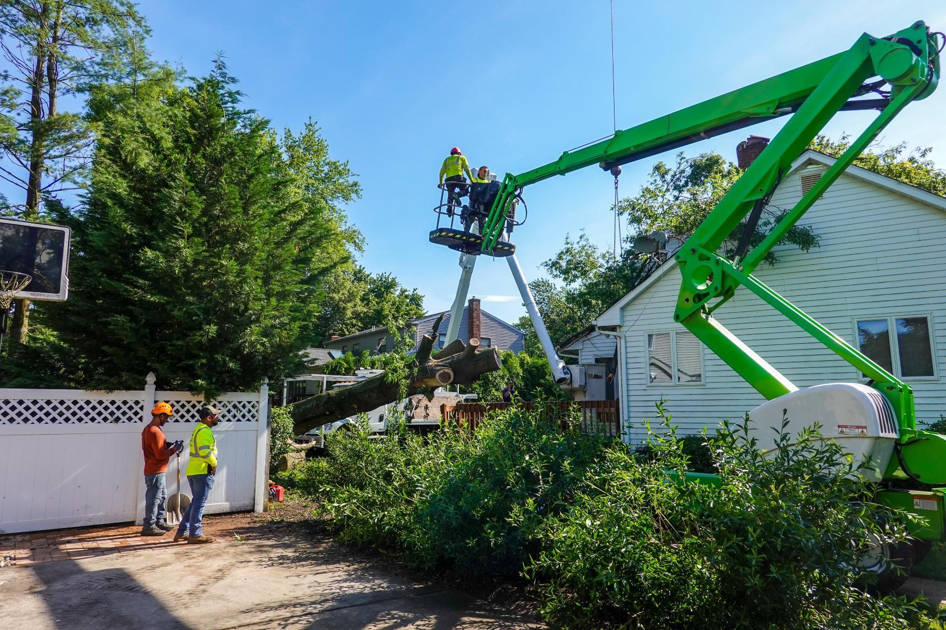 Two workers in a green aerial lift cut tree limbs near a white house, while two workers stand on the ground nearby.