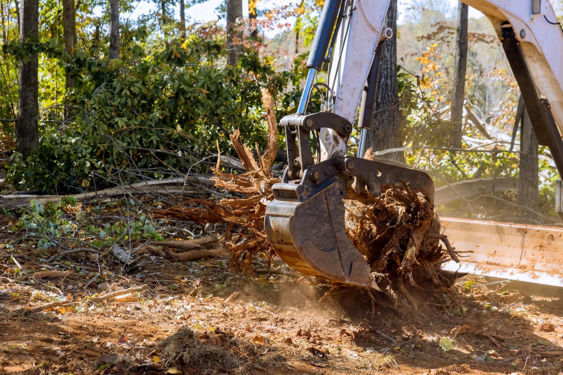 A mechanical excavator bucket grips the exposed, tangled root ball of a tree in a wooded clearing.