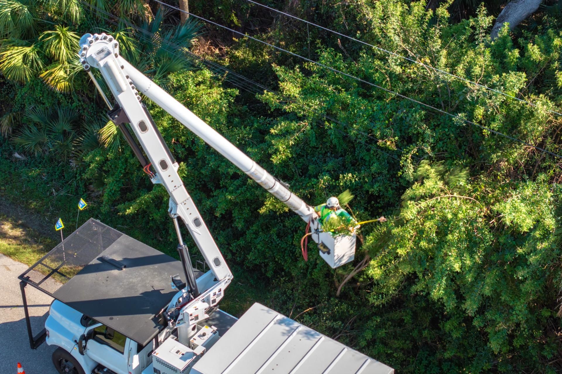 An aerial view shows a utility truck with an extended bucket lift, where a worker is trimming tree branches.