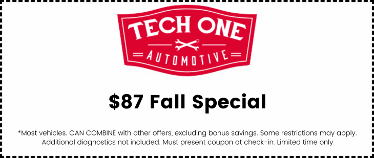 $87 Fall Special