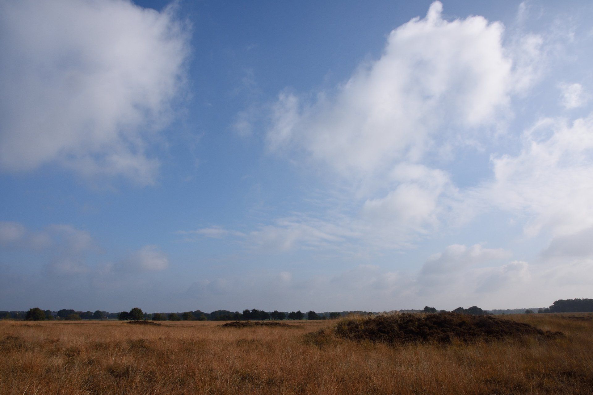 Lucht