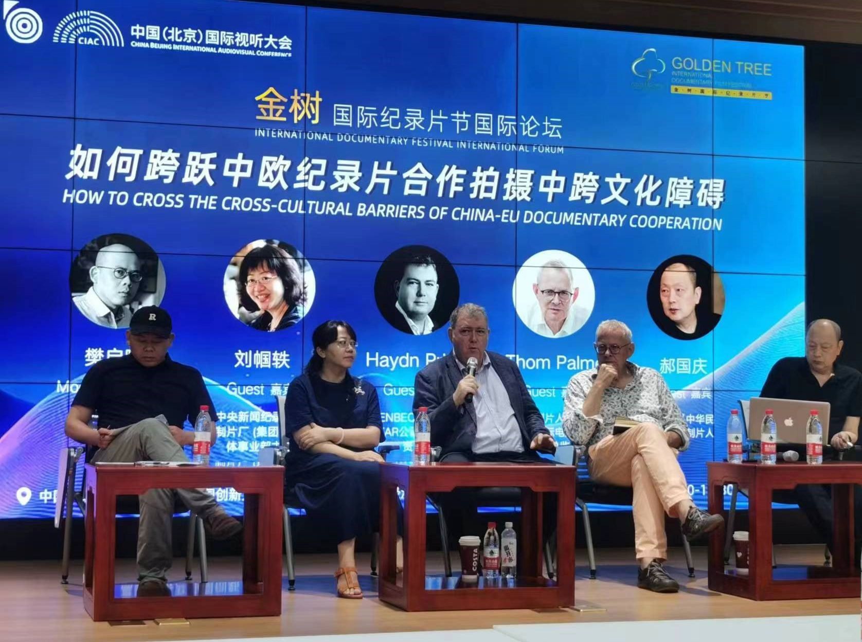Haydn Price Beijing television panel.