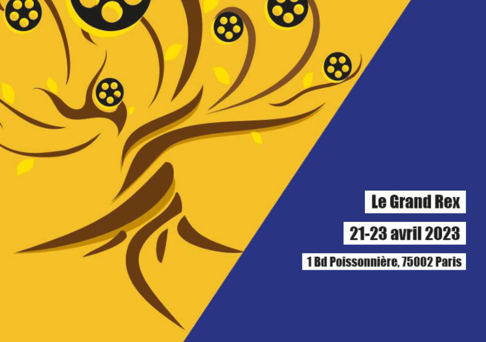 Haydn Price Golden Tree Paris Documentary Festival
