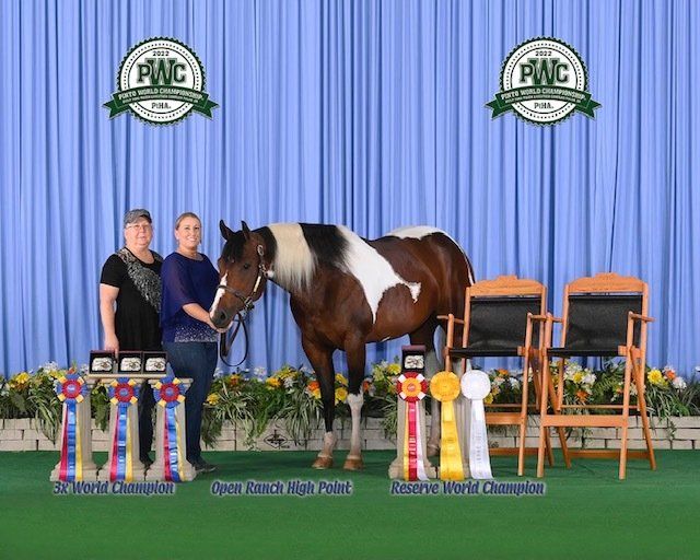 Horse training in Noblesville