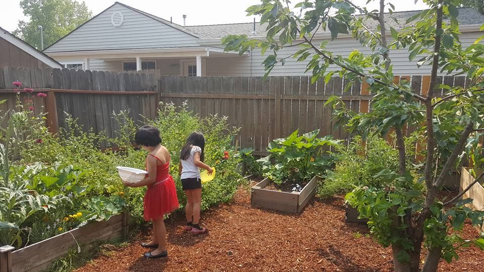Two young girls are watering plants in a garden.