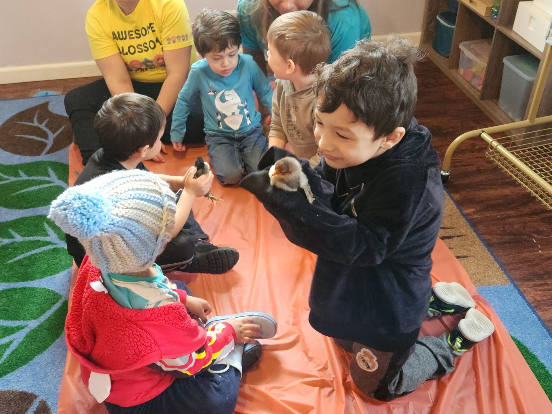 A group of children are sitting on the floor playing with a toy