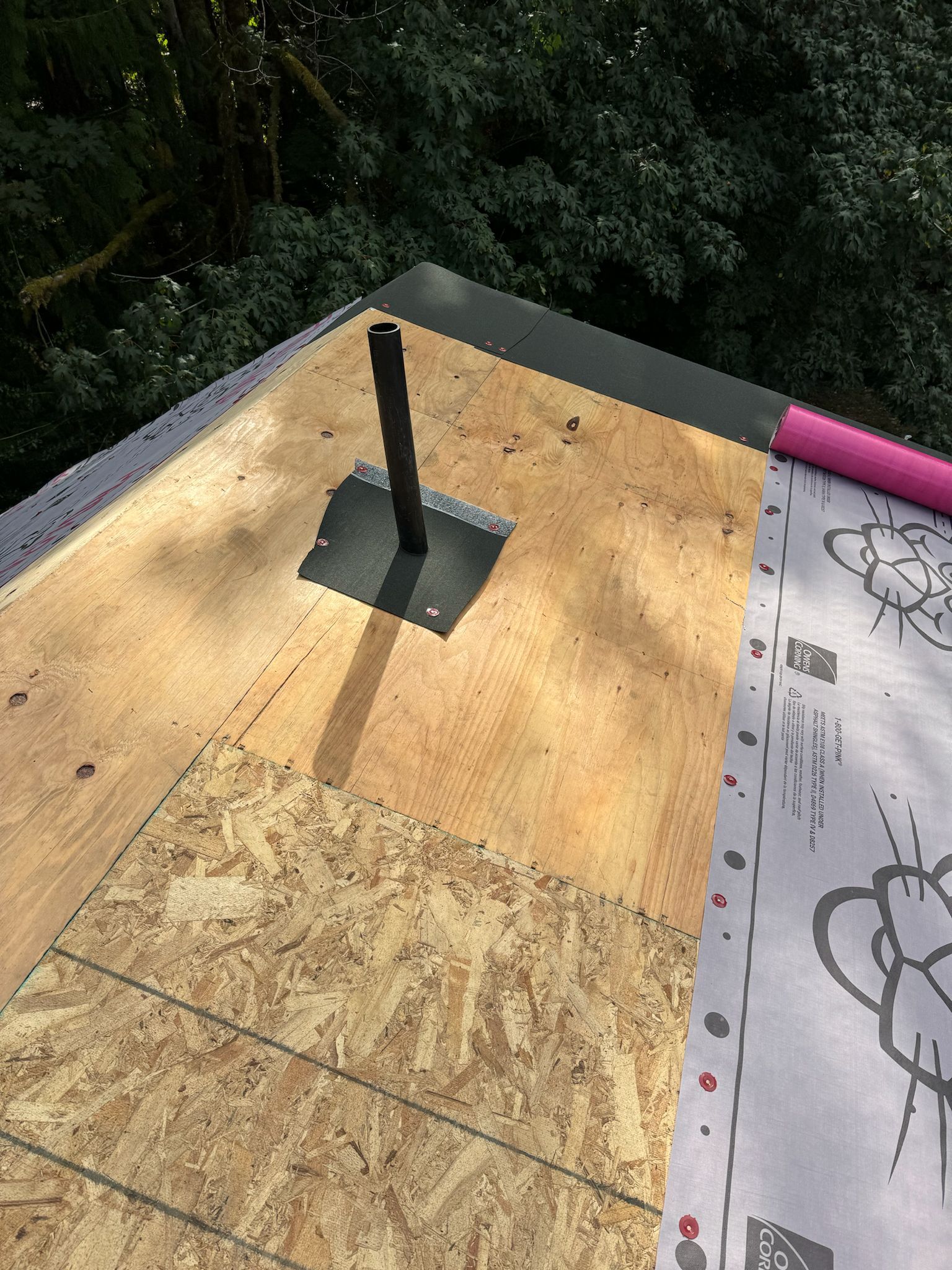 Roof with black pipe, plywood, roofing paper, and a glimpse of trees.