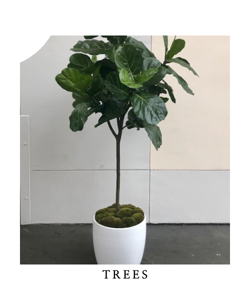 decorative house tree