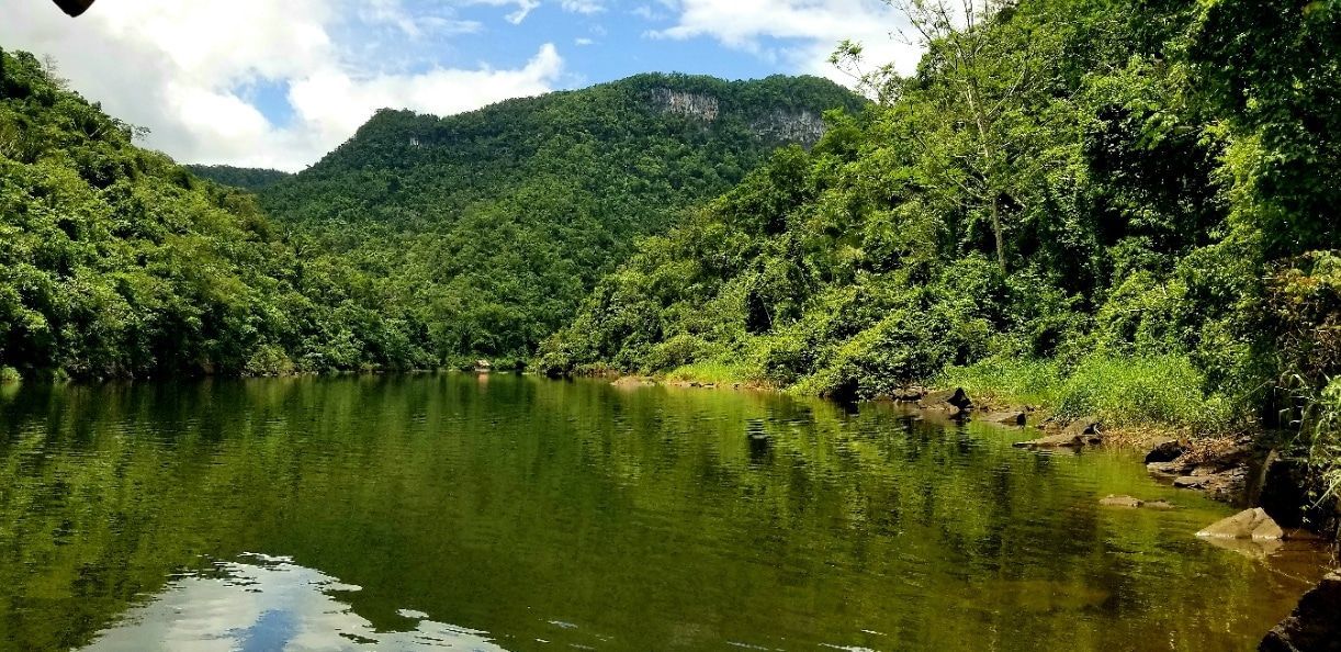 A lake surrounded by trees and mountains on a sunny day.