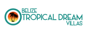 Belize tropical dream villas logo with a palm tree