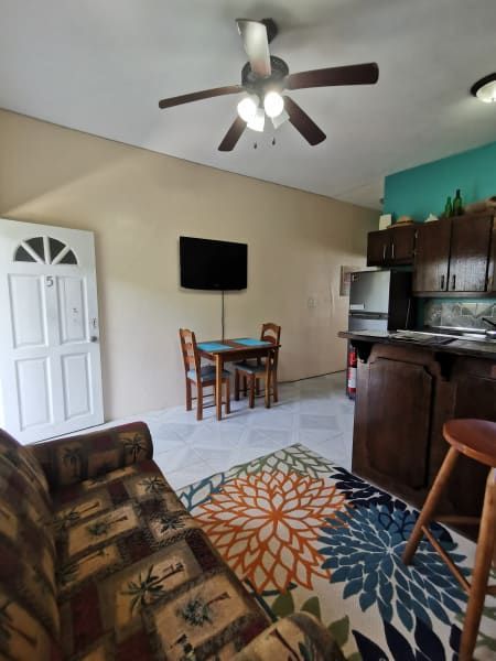 A living room with a couch and a ceiling fan