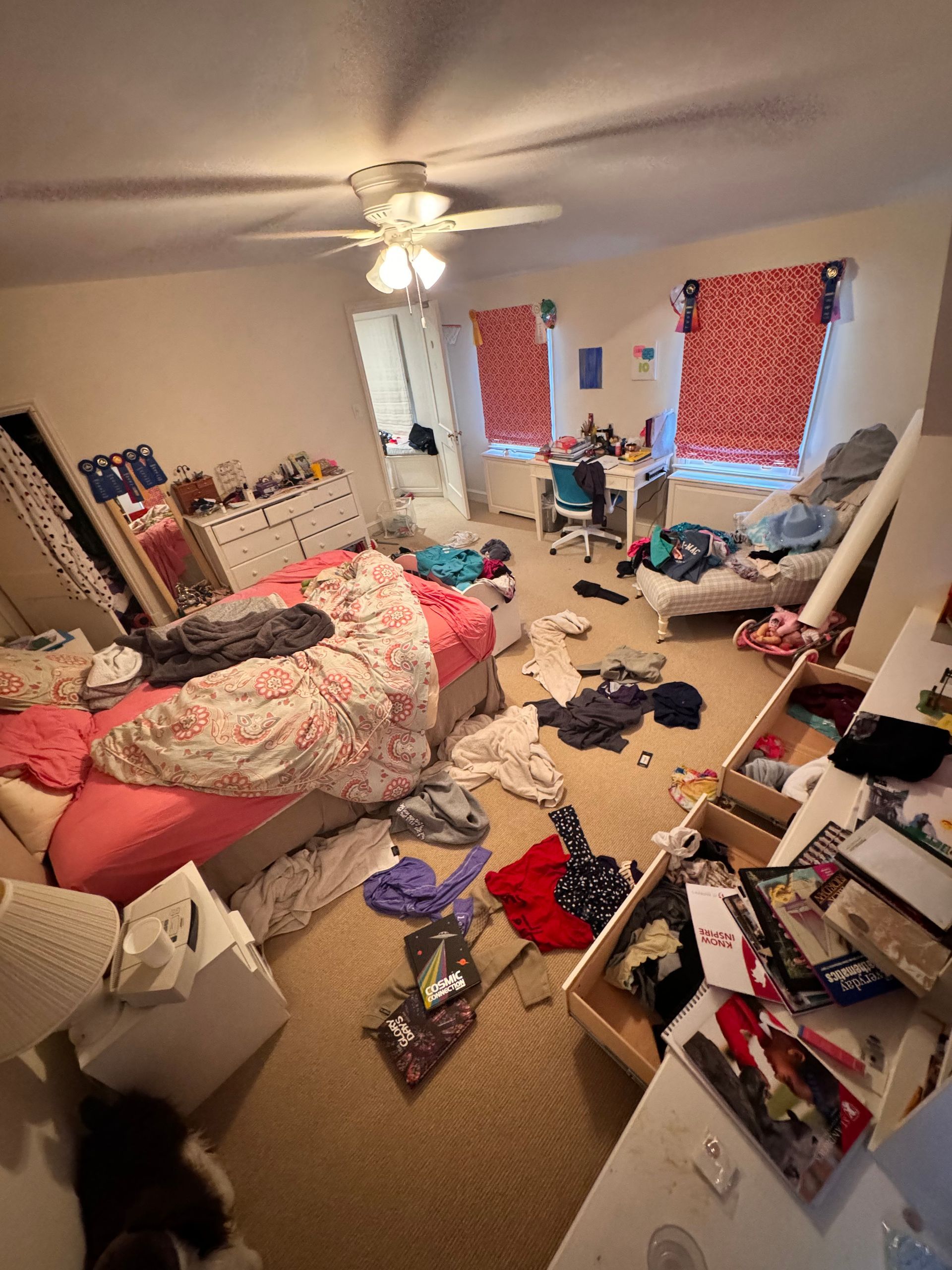 Bedroom #1 Before — Derwood, MD — Bright Cleaning Industries