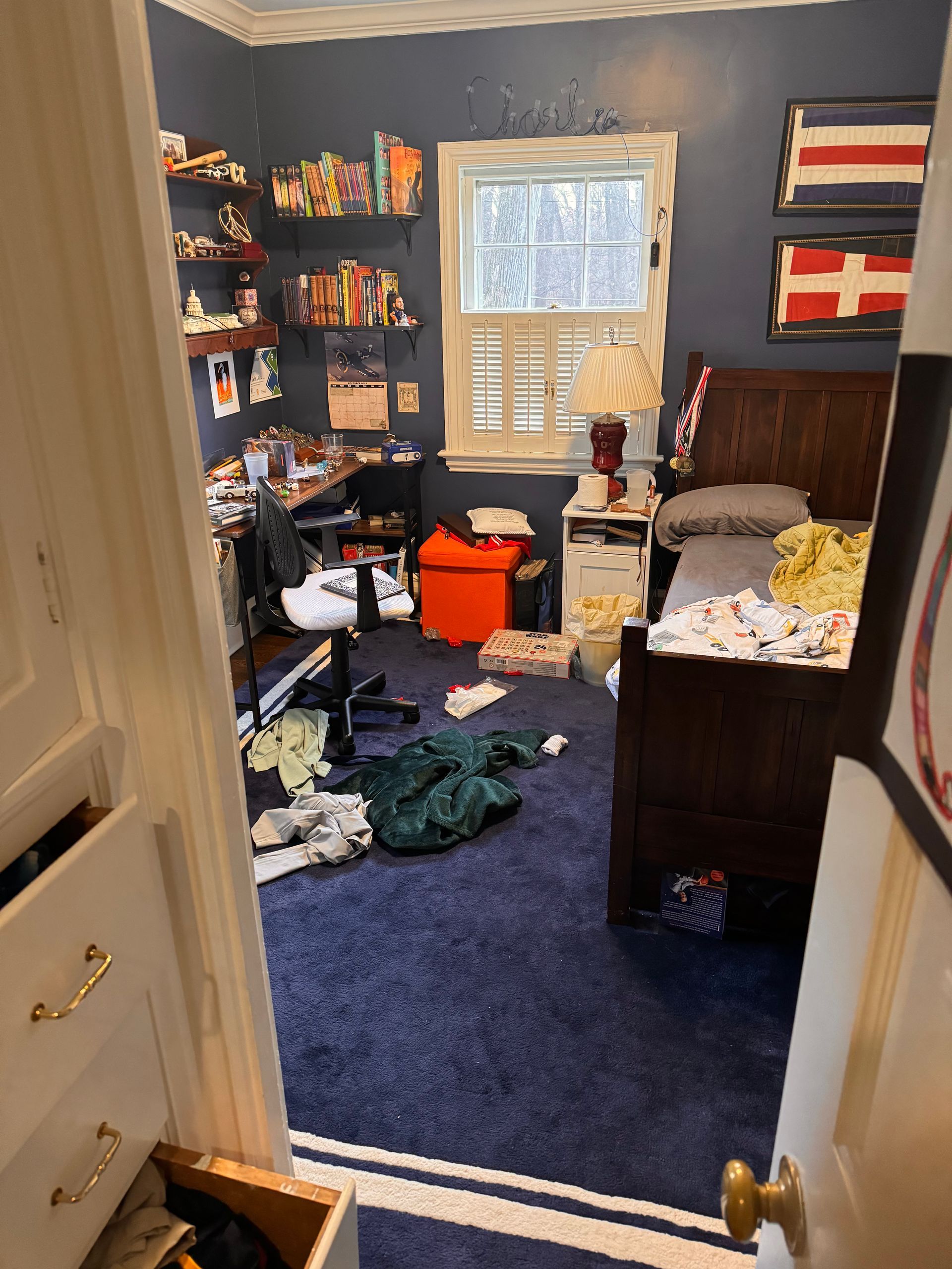 Bedroom #2 Before — Derwood, MD — Bright Cleaning Industries