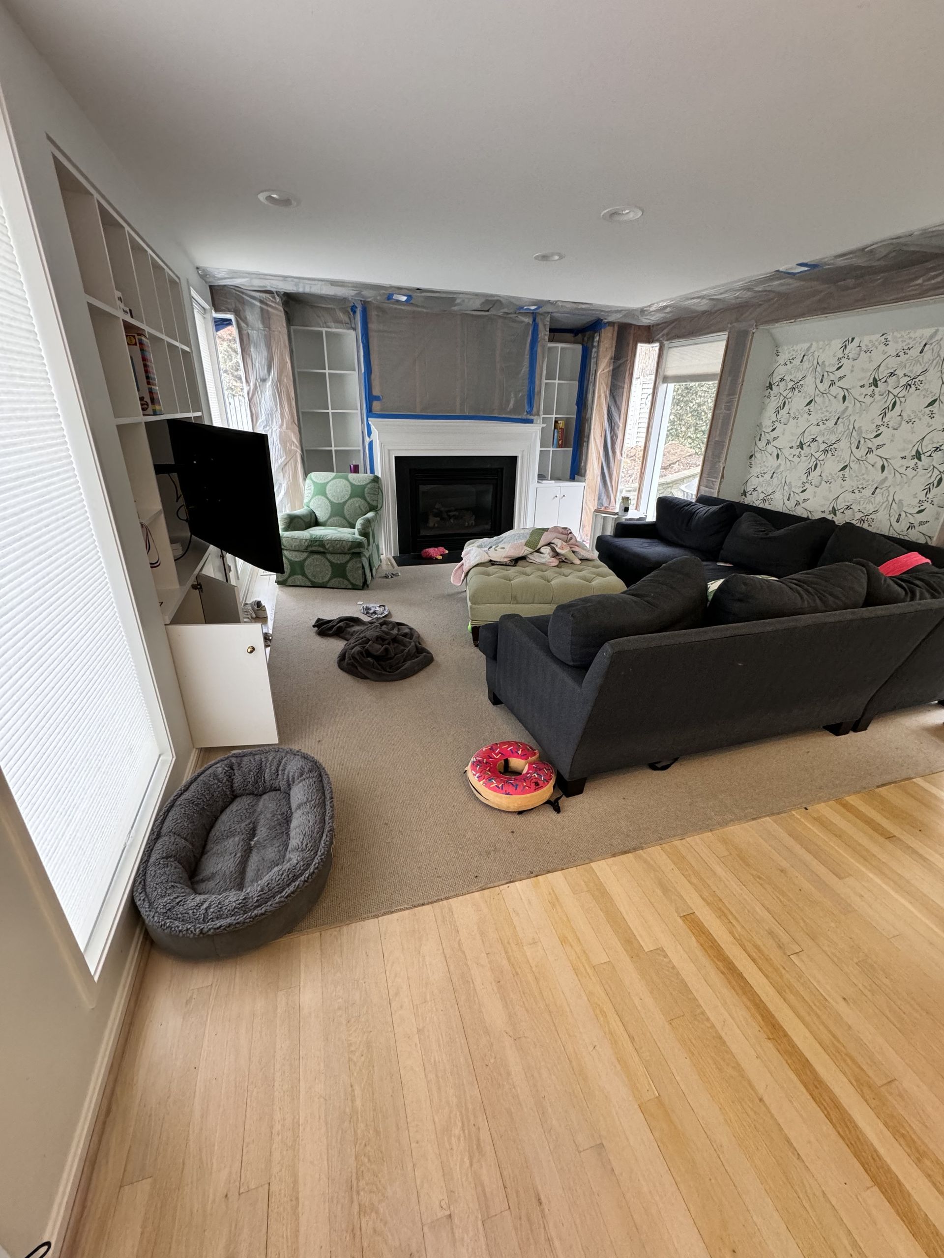 Living Room Before — Derwood, MD — Bright Cleaning Industries