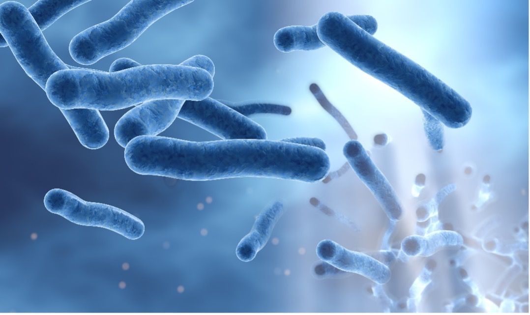 Bacteria & Viruses in water