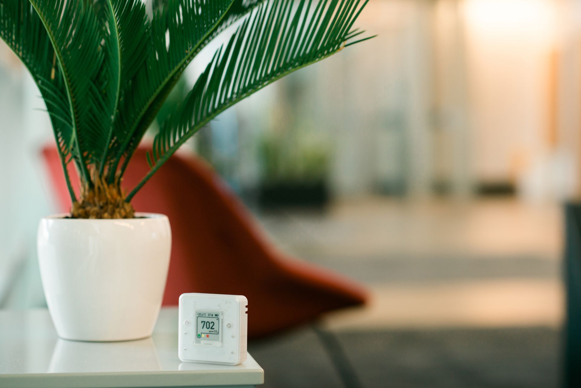 Potted palm on a white table beside a small container in a blurred modern interior